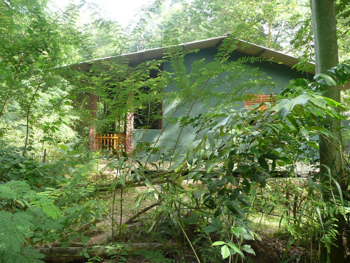 Silent Bungalow Udawalawe Exterior foto